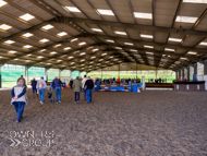 AH190423-9 - Schooling arena